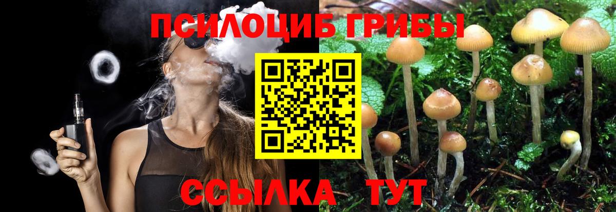 Ноябрьск  Галлюциногенные грибы Cubensis  Вход с VPN  Галлюциногенные грибы ЛСД 